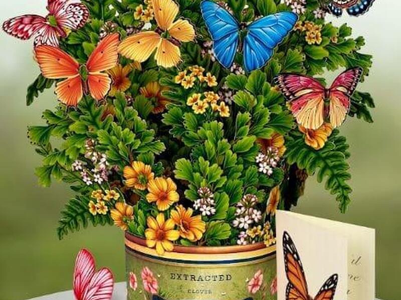 POPUP Butterflies & Buttercups