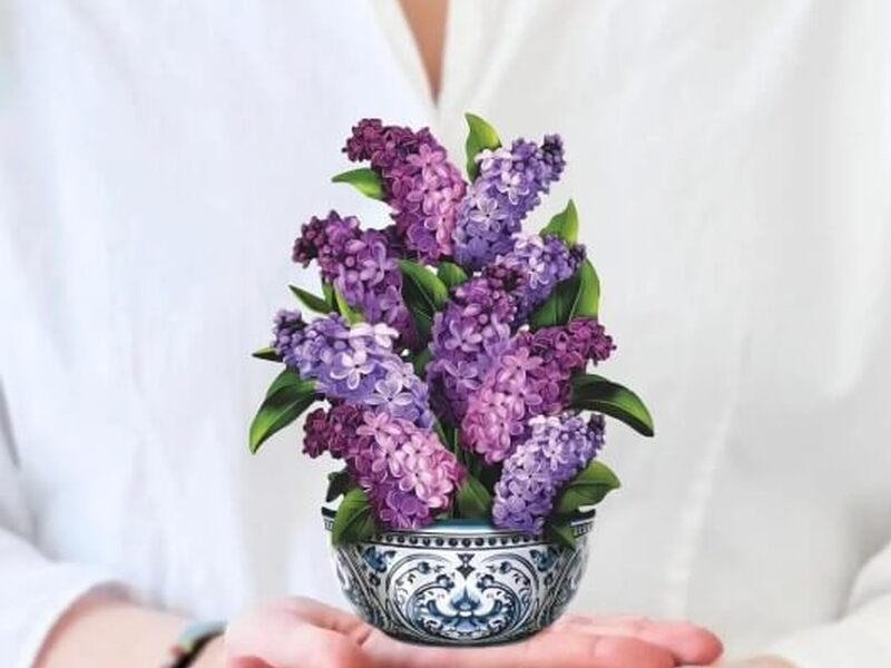 POPUP Mini Garden Lilacs