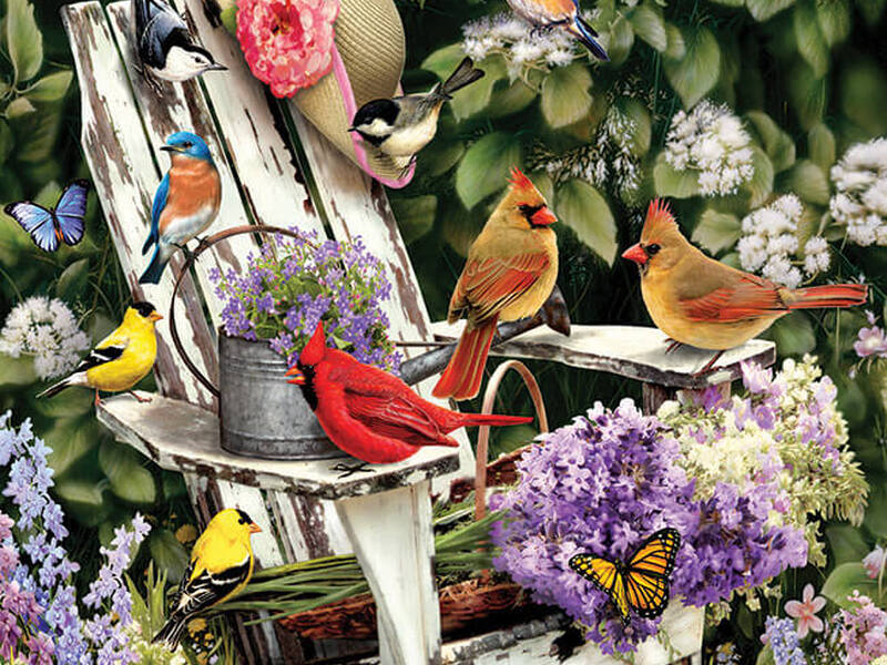 Adirondack Birds Puzzle (1,000)