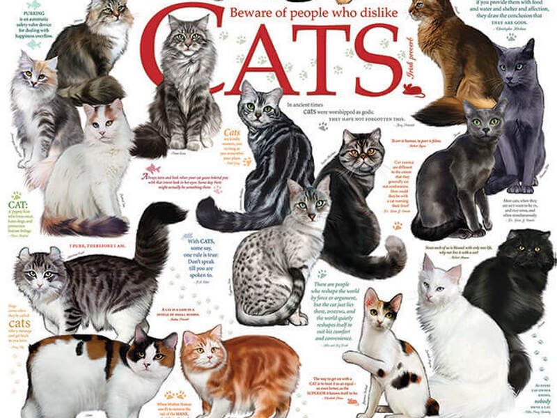 Cat Quotes Puzzle (1,000)