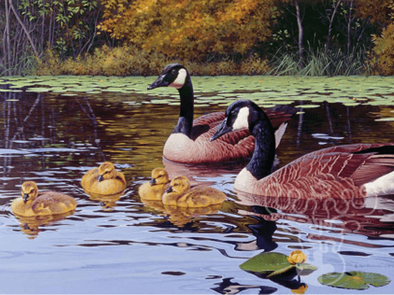 Cobble Hill Puzzles <br> (1,000)