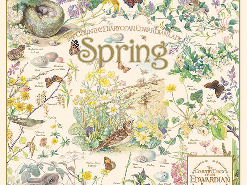 Country Diary Spring Puzzle (1,000) Piece