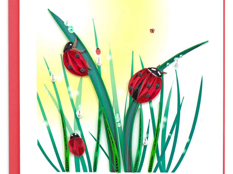 Quilling Card<br>Ladybugs