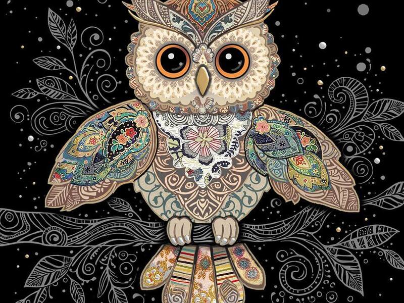 Owl Card