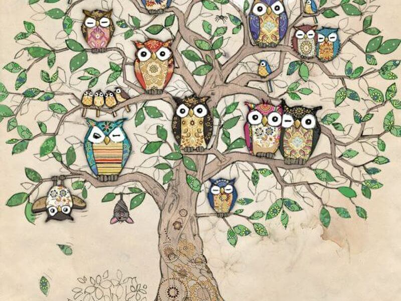 Owl Roost Card