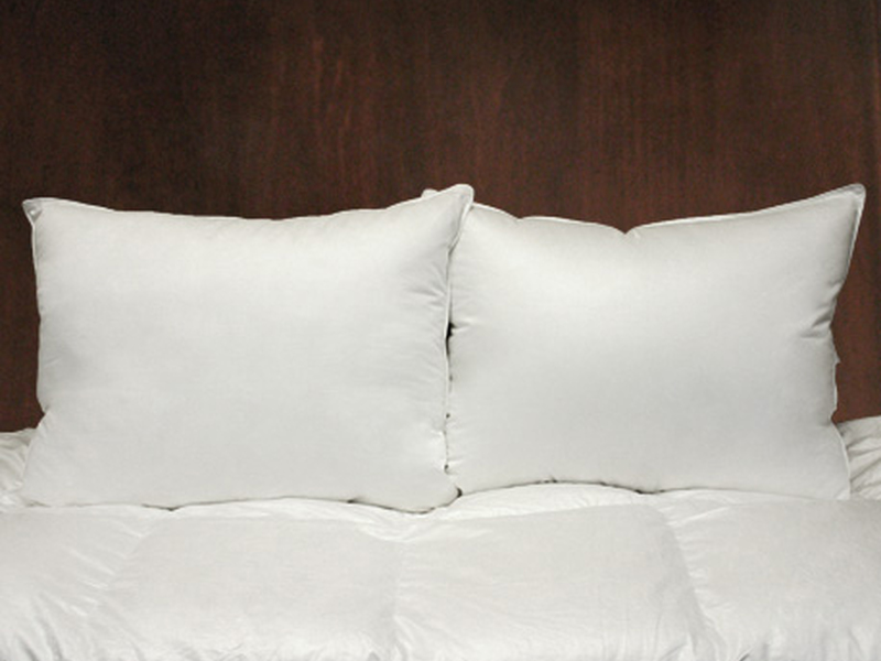 Esprit Cushion Forms <br>by Cuddle Down
