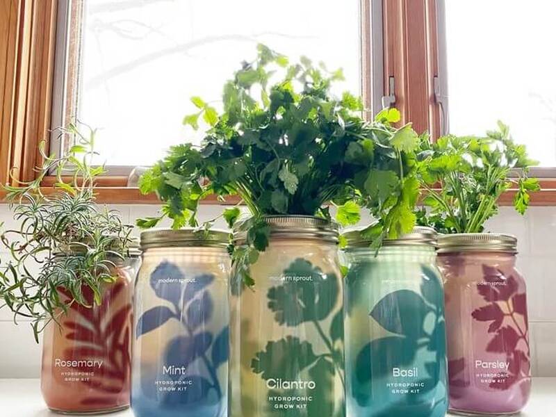 Garden Jars