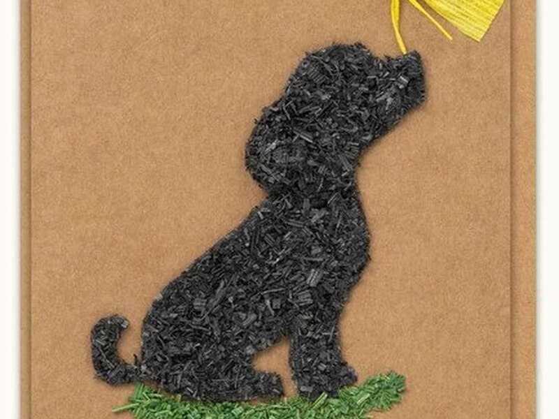 Dog with Butterfly<br> Handmade Card