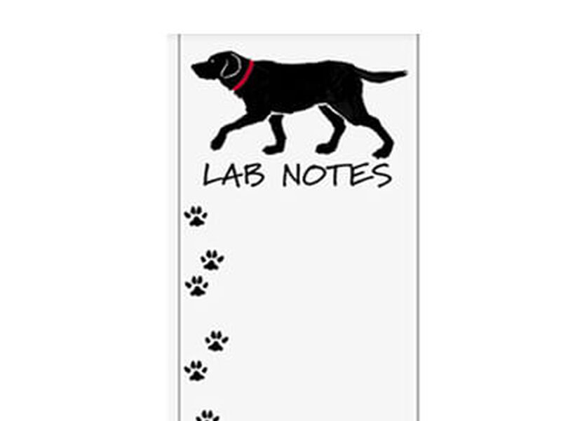 Magnetic Lists <br> Lab Notes