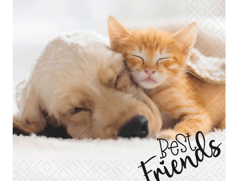 Dog & Cat - Luncheon Napkins