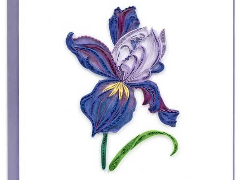 Iris Bloom Quilling Card