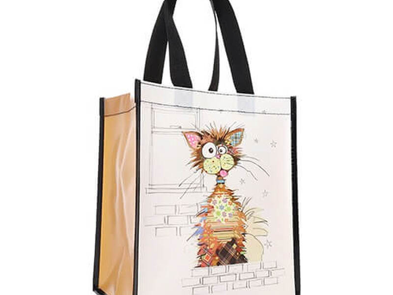 Reusable Bag – Crazy Cat
