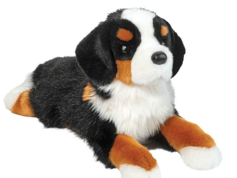 Trooper DLux Bernese Mountain Dog