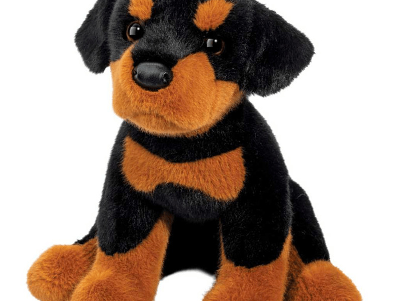 Ed Rottweiler
