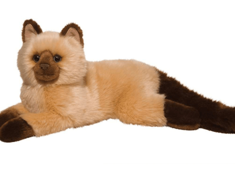 Sebastian Himalayan Cat