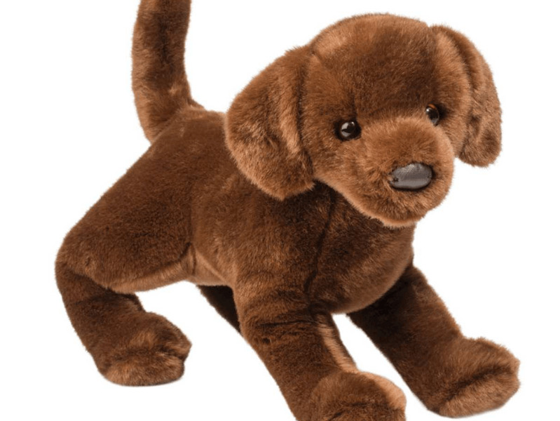 Cocoa Chocolate Lab