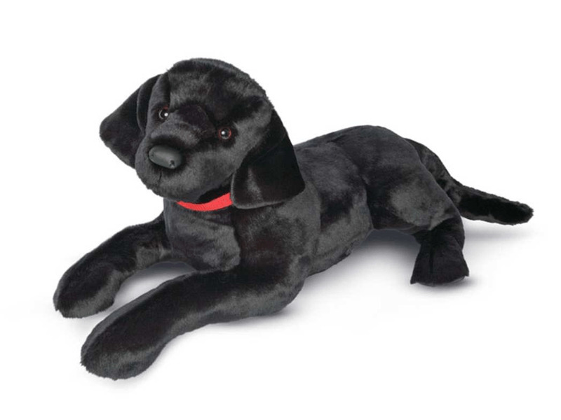 Dickens Black Lab