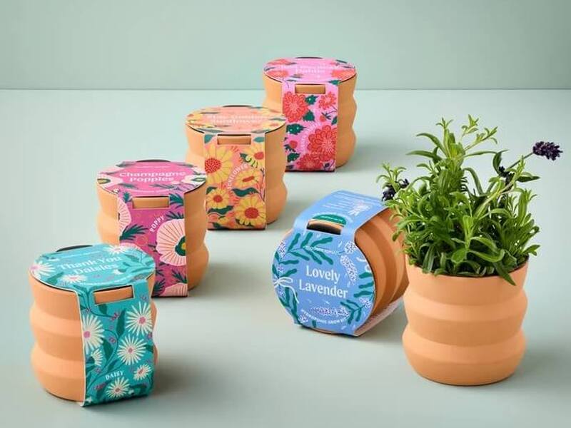 Tiny Terracotta Grow Kits