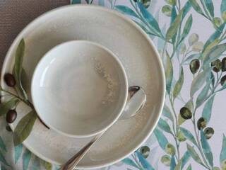 Olive Cork Placemats