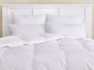 Niagara Down Duvets 650 Loft