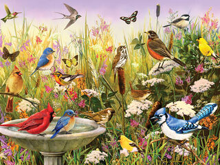 Cobble Hill Puzzles <br>(1,000) Piece