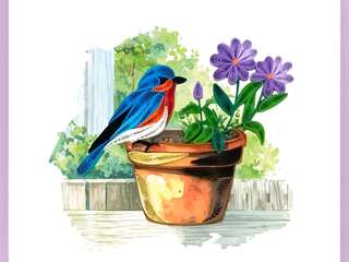 Blue Bird Quilling Card