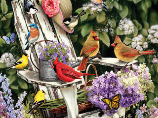 Cobble Hill Puzzles <br> Adirondack Birds (1,000)