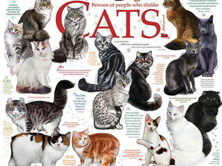 Cat Quotes Puzzle (1,000)