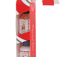 Gingersnap Scented Shower<br>Gel & Body Lotion Set