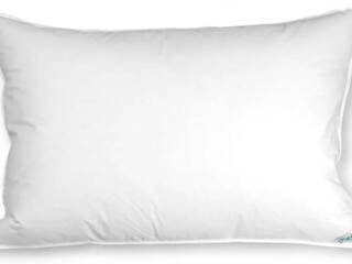 Microguard Pillow
