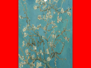 Almond Blossom- Air Freshener