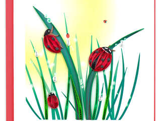 Quilling Card<br>Ladybugs