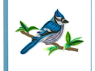 Quilling Card<br>Blue Jay