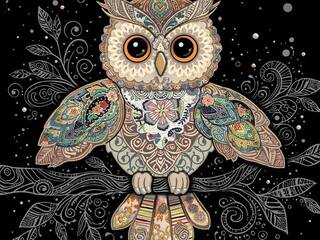 Owl Card