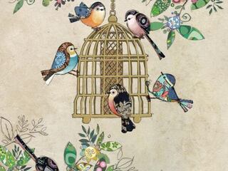 Bird Feeder Card