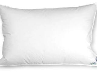 Deluxe Feather & Down Pillow