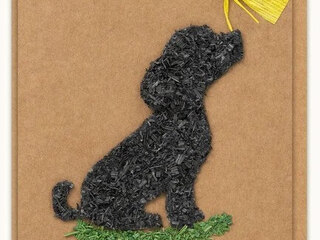 Dog with Butterfly<br> Handmade Card