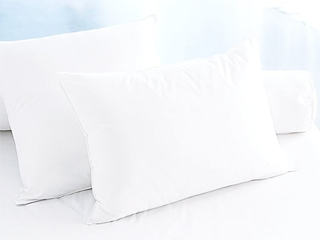 Protech Allergy Pillow Protectors