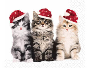 Xmas Cats Napkins