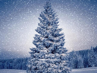 Magic Tree-Luncheon Napkin