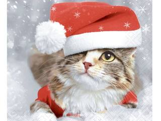 Kitten Christmas Napkins