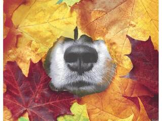 Furry Leaf - Luncheon Napkins
