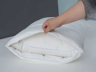 Dusseldorf Down Around Latex Pillow
