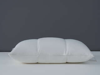 Cologne Down Around Memory Foam Pillow