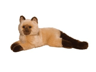 Sebastian Himalayan Cat