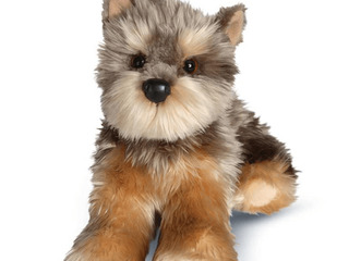 Yettie Yorkie