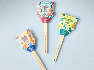 Pollinator Seed Pop