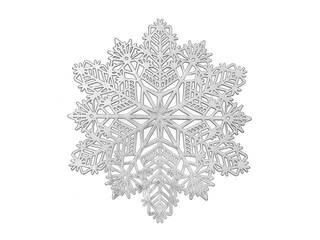 Cut Out Snowflake Placemat