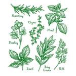 Herbs