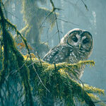 Mossy Branches 85002